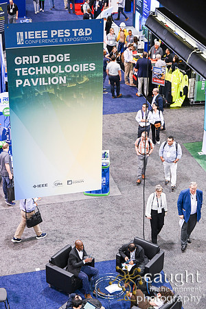 545 IEEE PES TandD Anaheim 2024