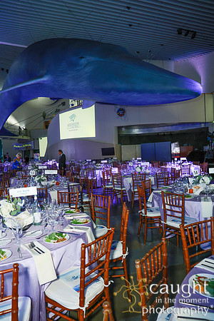 123 Aquarium of the Pacific Blue Whale Gala and After Party 2025