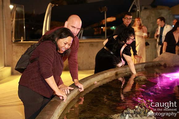 289 Aquarium of the Pacific Blue Whale Gala and After Party 2025