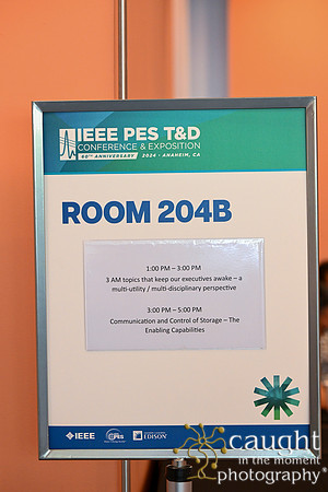 990 IEEE PES TandD Anaheim 2024