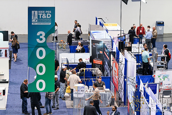 551 IEEE PES TandD Anaheim 2024