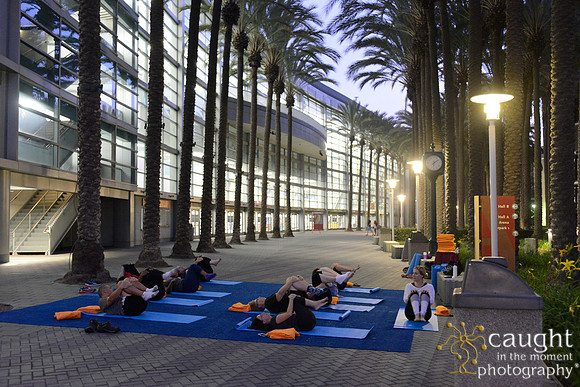 1285 OMED 2016-Yoga