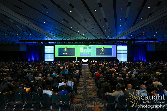 262 IEEE PES TandD Anaheim 2024