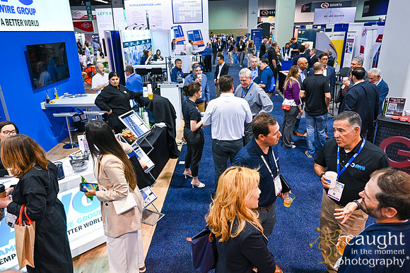 376 IEEE PES TandD Anaheim 2024