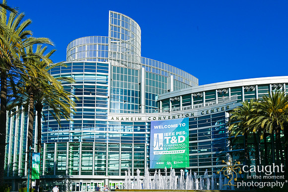 011 RUSH IEEE PES TandD Anaheim 2024