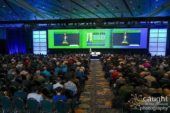 273 IEEE PES TandD Anaheim 2024