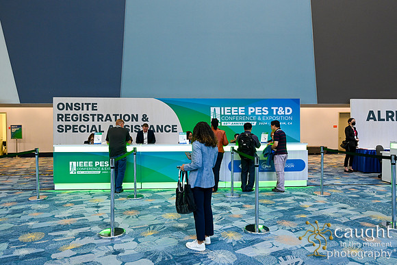 046 IEEE PES TandD Anaheim 2024