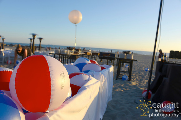 074 Dermatology Forum for Veterinarians 2014 Hotel del Coronado