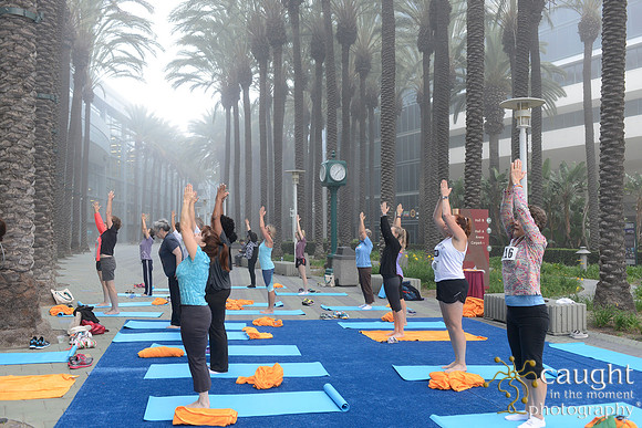 1301 OMED 2016-Yoga