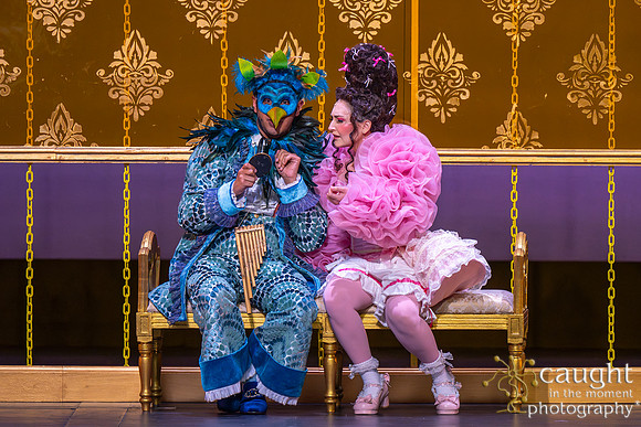 050 The Magic Flute 2025