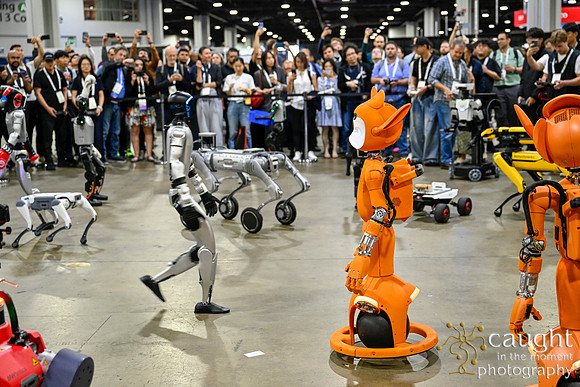 1412 IEEE ICRA 2025 Atlanta