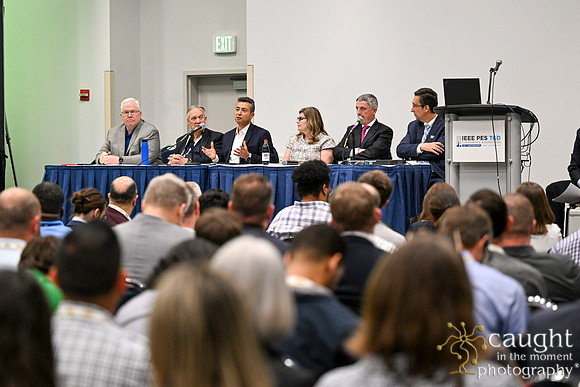 995 IEEE PES TandD Anaheim 2024