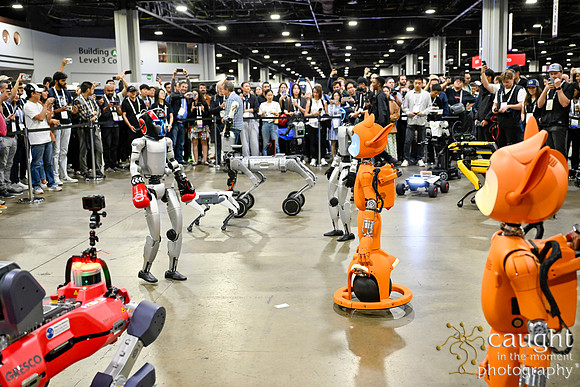 1413 IEEE ICRA 2025 Atlanta