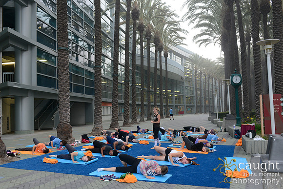 1298 OMED 2016-Yoga