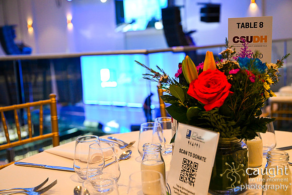 014 EcoCouture Gala 2024