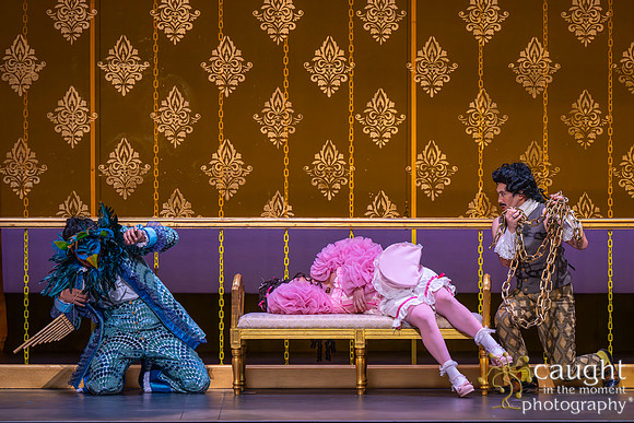 048 The Magic Flute 2025