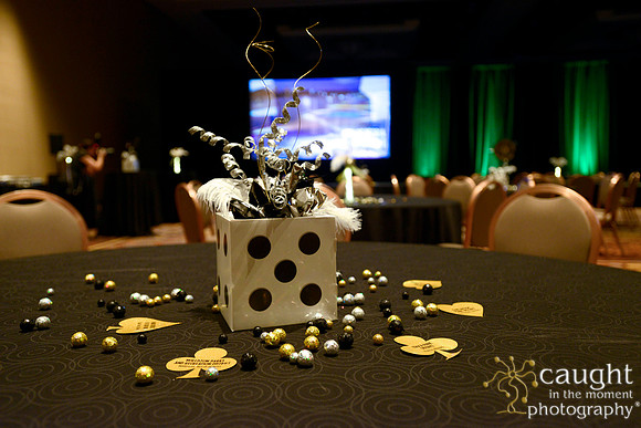 267 NRPA 2015 Gold Medal Reception