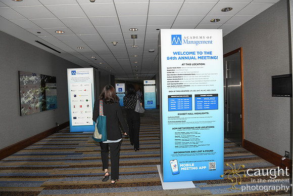 084 AOM 2024 Registration & Networking Hubs