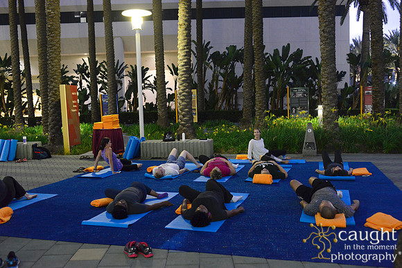 1284 OMED 2016-Yoga