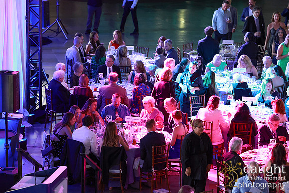 139 Aquarium of the Pacific Blue Whale Gala and After Party 2025