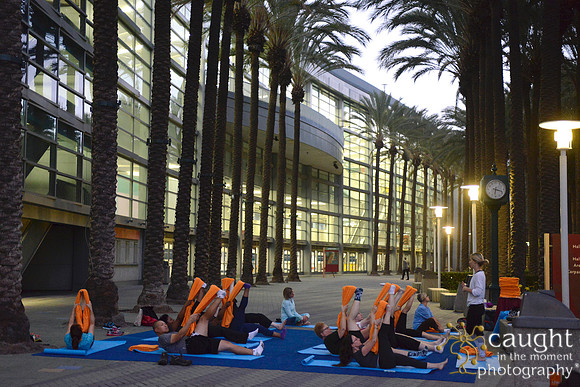 1287 OMED 2016-Yoga