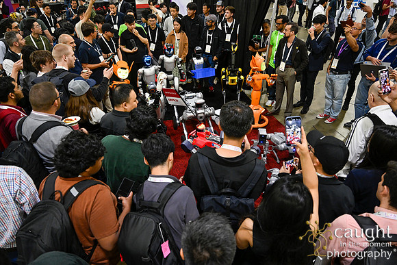 1377 IEEE ICRA 2025 Atlanta