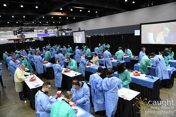920 STS2025-Hands-On Courses