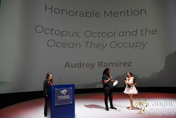 146 High Tide Film Festival 2024