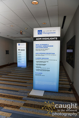 083 AOM 2024 Registration & Networking Hubs