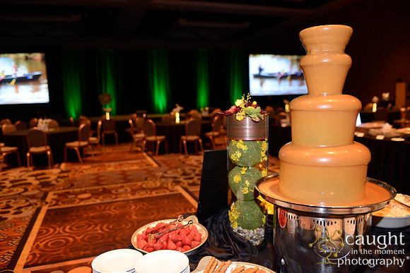277 NRPA 2015 Gold Medal Reception