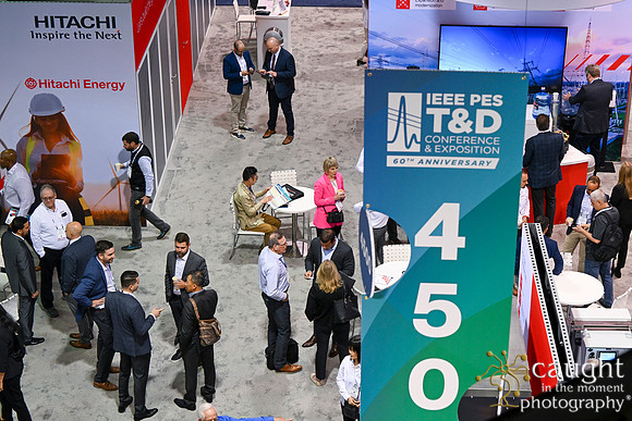538 IEEE PES TandD Anaheim 2024