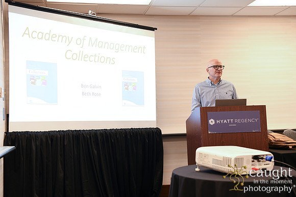454 AOM 2024 AMC Sessions