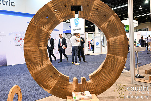 356 IEEE PES TandD Anaheim 2024