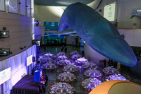 122 Aquarium of the Pacific Blue Whale Gala and After Party 2025