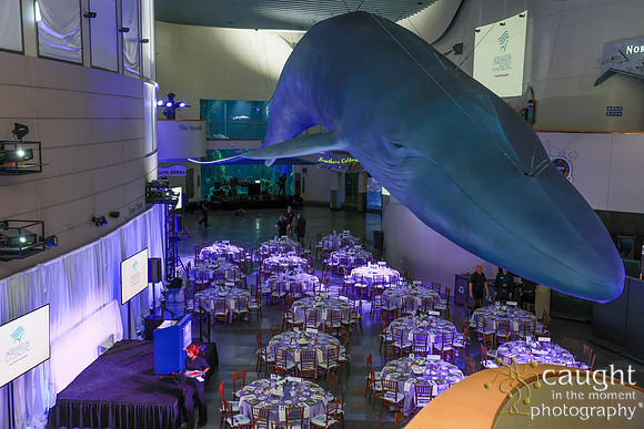 122 Aquarium of the Pacific Blue Whale Gala and After Party 2025