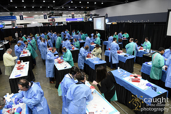 921 STS2025-Hands-On Courses