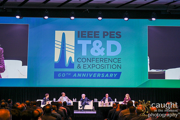1494 IEEE PES TandD Anaheim 2024