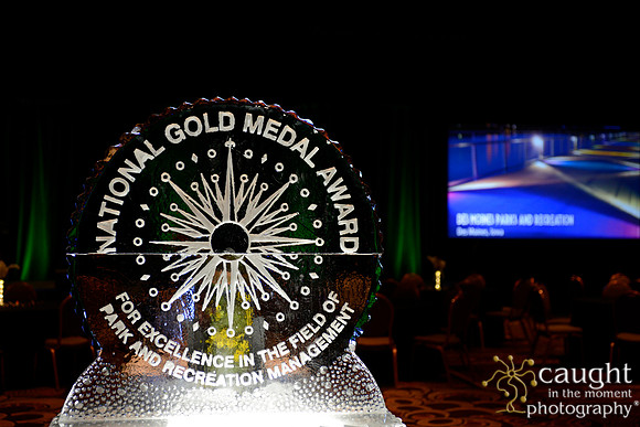 258 NRPA 2015 Gold Medal Reception