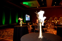 271 NRPA 2015 Gold Medal Reception