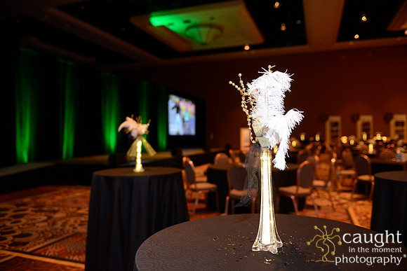 271 NRPA 2015 Gold Medal Reception