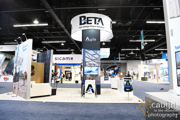 030 IEEE PES T&D 2024-Beta