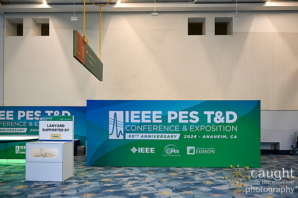 035 IEEE PES TandD Anaheim 2024