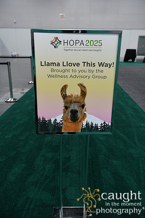 453 HOPA 2025 Conference in Portland - Exhibit Hall