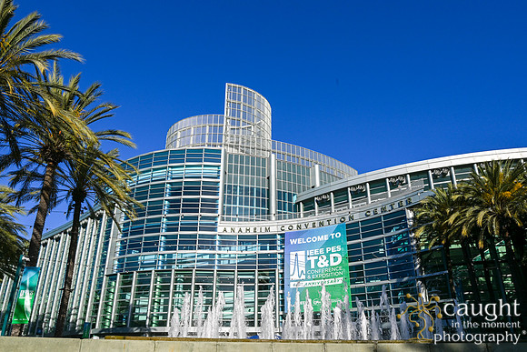 004 IEEE PES TandD Anaheim 2024