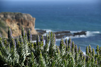 111 Castellon Wedding at Wayfarers Chapel and Long Beach Museum of Art