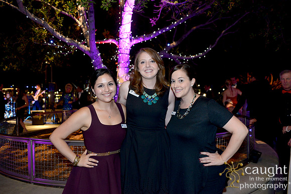 275 Aquarium of the Pacific Blue Whale Gala 2015