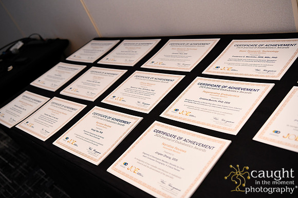 809 AAE 2024 in Los Angeles - JOE Awards