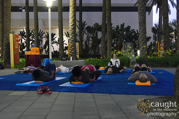 1283 OMED 2016-Yoga