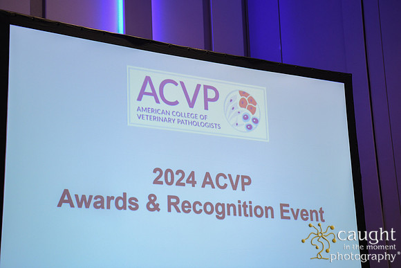 555 ACVP 2024 in Seattle