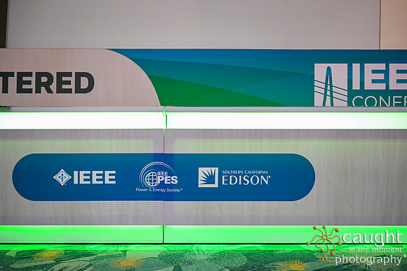 036 IEEE PES TandD Anaheim 2024